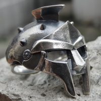 gladiator ring
