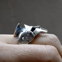 gladiator ring